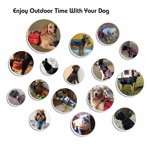 Gilet de Protection pour Chien